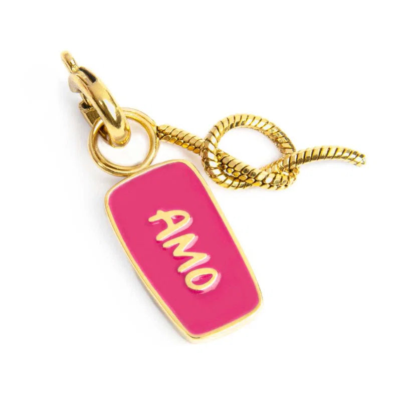 CHARM AMO E NODO